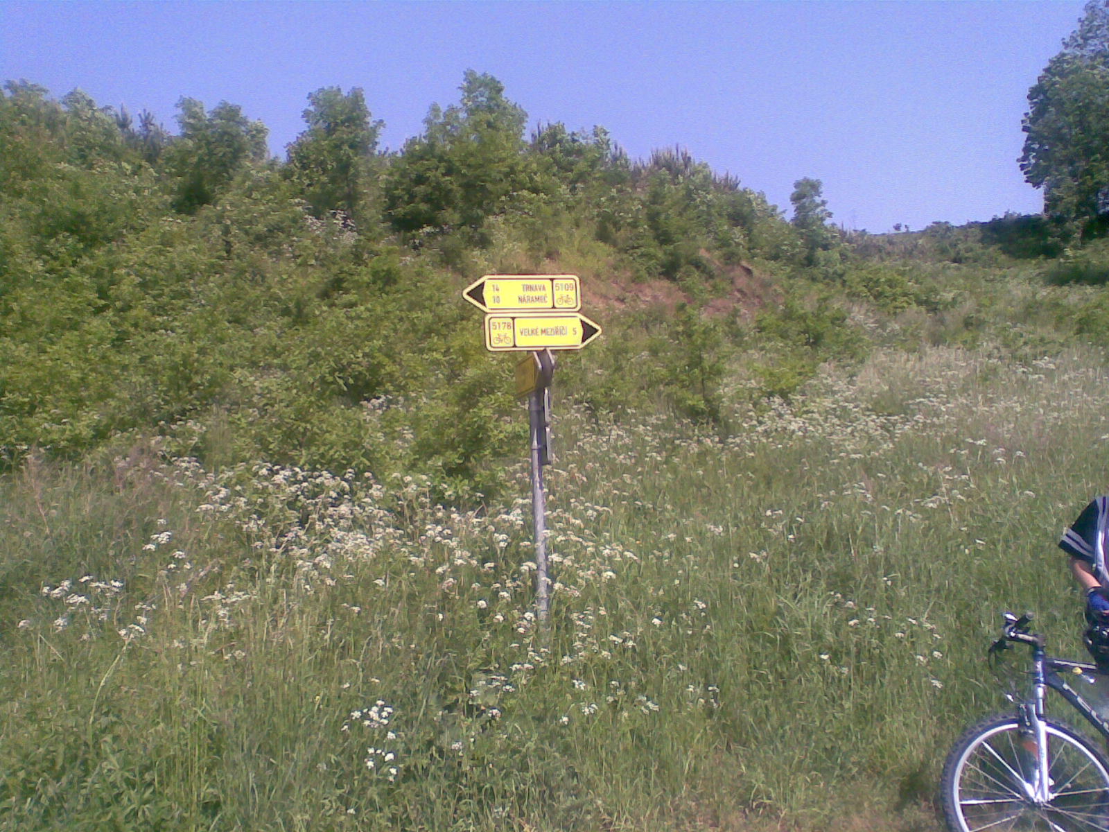 Obraz079.jpg